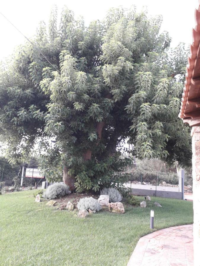 Agriturismo Quattro Mori Porto Torres Buitenkant foto